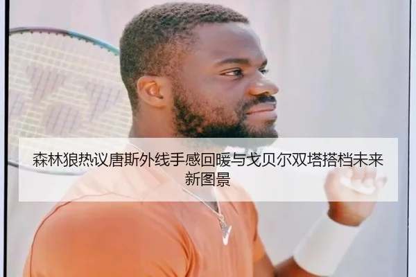 森林狼热议唐斯外线手感回暖与戈贝尔双塔搭档未来新图景